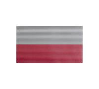 Direct Action Polish large patch flag NO IR - White/Red