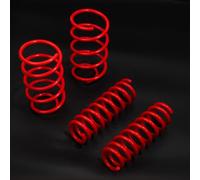 DIRENZA KIT MOLLE DI ABBASSAMENTO 30/40mm PER TOYOTA AURIS 2.2D E15J/E154T 07-12