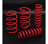 DIRENZA MOLLE DI ABBASSAMENTO SOSPENSIONI 30/25mm PER NISSAN CUBE 1.6 Z12 10-19