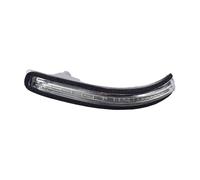 Direzione Indicatore Auto Sinistra/Lato Destro Specchietto Retrovisore Indicatore Direzione Indicatore Luminoso Della Lampada LED Per Hyundai Per I20 2014 2015-2020 Indicatori Direzione(Sono partiti)