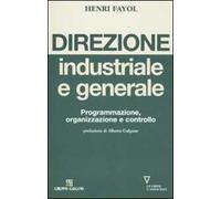 Direzione industriale e generale. Programmazione, organizzazione e controllo