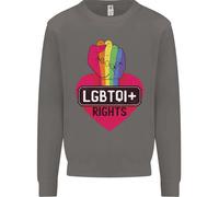 Diritti LGBTQI+ Orgoglio Gay Consapevolezza LGBT Uomo Felpa