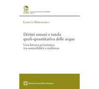 Diritti umani e tutela quali-quantitativa delle acque
