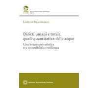 Diritti umani e tutela quali-quantitativa delle acque