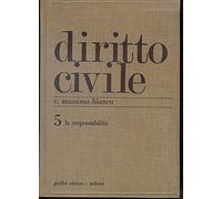 Diritto civile. La responsabilità (Vol. 5)