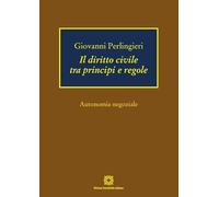 Il diritto civile tra principi e regole. Autonomia negoziale