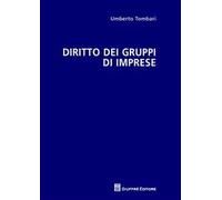 Diritto dei gruppi di imprese