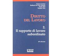 Diritto del lavoro. Vol. 2: rapporto di lavoro subordinato, Il.