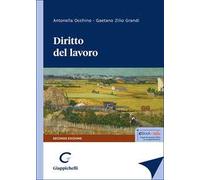 Diritto del lavoro