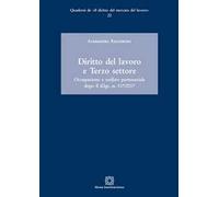 Diritto Del Lavoro E Terzo Settore