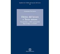 Diritto del lavoro e terzo settore - 2020 - Edizioni Scientifiche