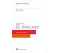 Diritto del lavoro europeo. Una introduzione critica