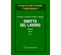 Diritto Del Lavoro Iv - Il Processo: Vol. 4