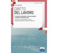 Diritto del lavoro. Teoria e test per la preparazione all'esame