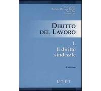 Diritto del lavoro. Vol. 1: Il diritto sindacale