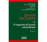 Diritto del lavoro. Vol. 2: Il rapporto di lavoro subordinato