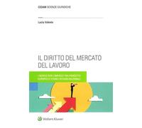 Diritto del mercato del lavoro
