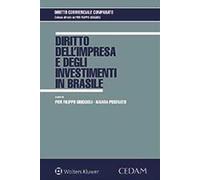 Diritto dell'impresa e degli investimenti in Brasile