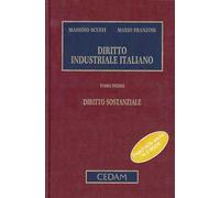 Diritto industriale italiano: Diritto sostanziale-Diritto procedimentale e processuale