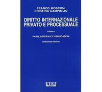 Diritto internazionale privato e processuale: Vol. 1 [Paperback] [Oct 07, 2024]