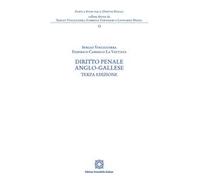 Diritto penale anglo-gallese