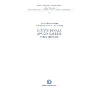 Diritto penale anglo-gallese
