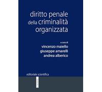 Diritto penale della criminalità organizzata