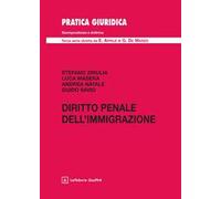 Diritto penale dell'immigrazione
