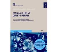 Diritto penale. Manuale breve