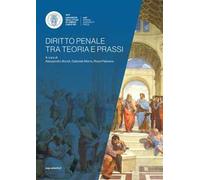 Diritto penale tra teoria e prassi