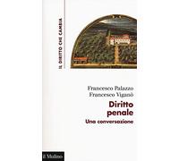 Diritto penale. Una conversazione