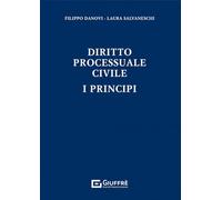 Diritto processuale civile. I principi