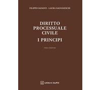 Diritto processuale civile. I principi