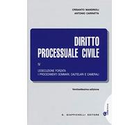 Diritto processuale civile. L'esecuzione forzata, i procedimenti sommari, cautelari e camerali (Vol. 4)