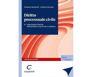 Diritto processuale civile. L'esecuzione forzata, i procedimenti sommari, cautelari e camerali (Vol. 4)