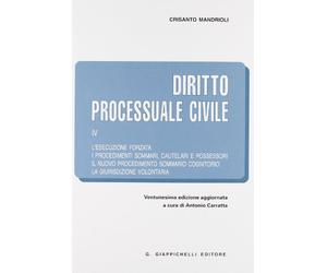 Diritto processuale civile. L'esecuzione forzata-I procedimenti sommari, cautelari e possessori-Il nuovo procedimento sommario cognitorio-La giurisdizione volontaria (Vol. 4)