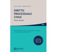 Diritto processuale civile sintesi ragionata
