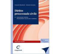 Diritto processuale civile. Vol. 4: L'esecuzione forzata, i proce