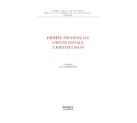 Diritto processuale costituzionale e diritti umani