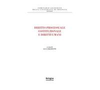 Diritto processuale costituzionale e diritti umani