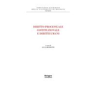 Diritto processuale costituzionale e diritti umani