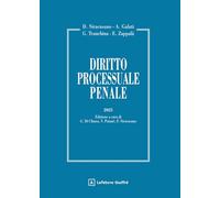 Diritto processuale penale