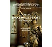 Diritto processuale penale. Principi regole prassi