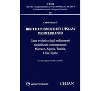 Diritto pubblico dell'islam mediterraneo