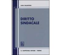 Diritto sindacale