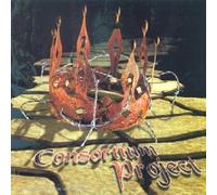 Dirk Bruinenberg - Consortium Project