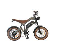 Dirt bike elettrica DYU M20 con batteria da 48 V 18,2 AH 1 St