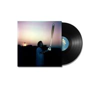 Dirt Buyer Dirt Buyer III (Vinyl LP) 12" Album