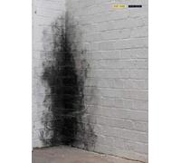 Dirty Corner Anish Kapoor