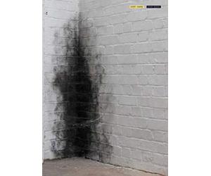 Dirty Corner Anish Kapoor